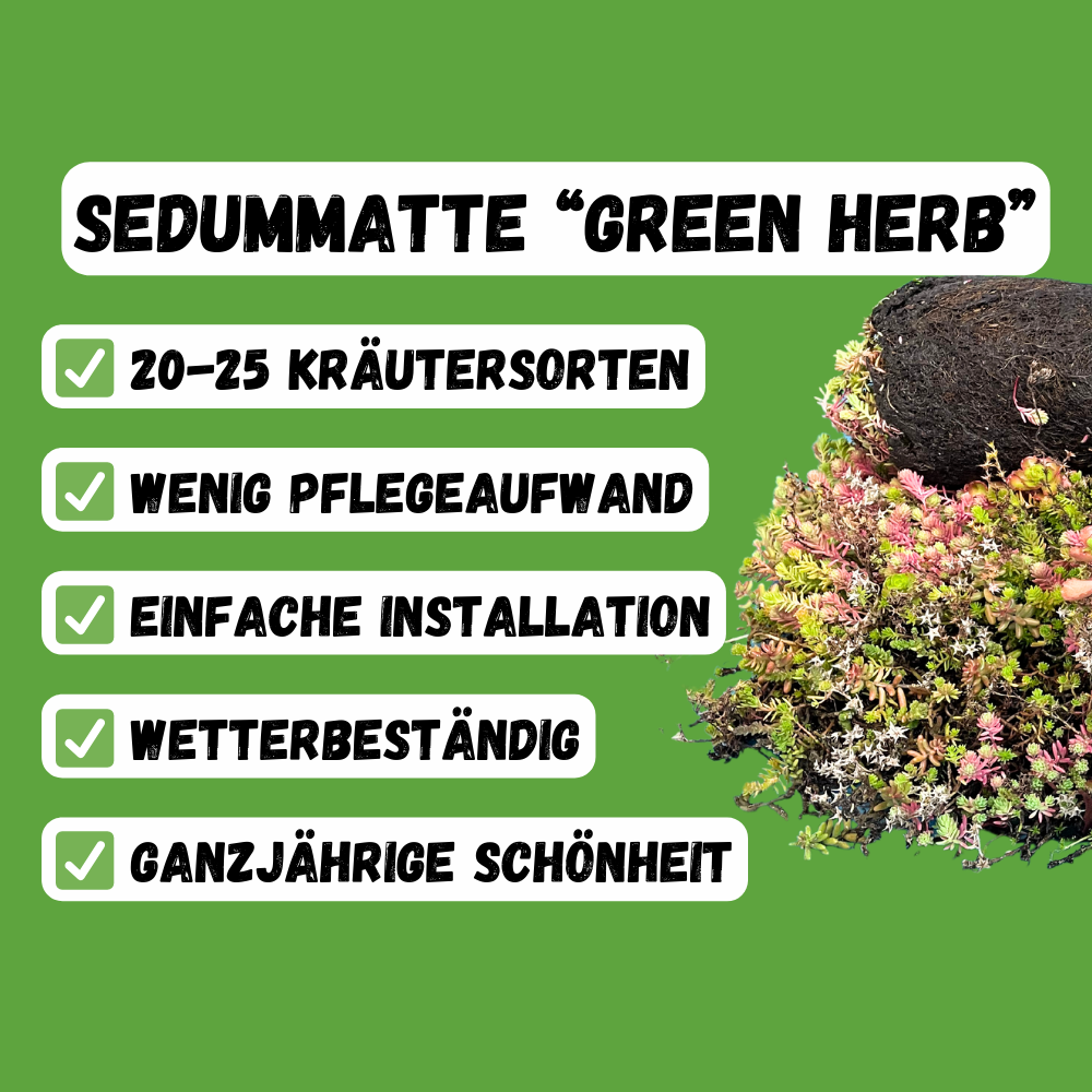 Sedum-/Kräutermatte „GreenHerb“